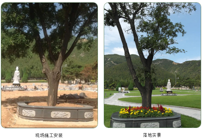 米乐|米乐·M6(中国大陆)官方网站