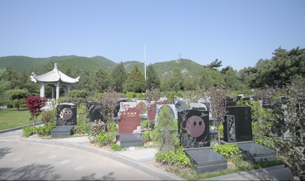 米乐|米乐·M6(中国大陆)官方网站