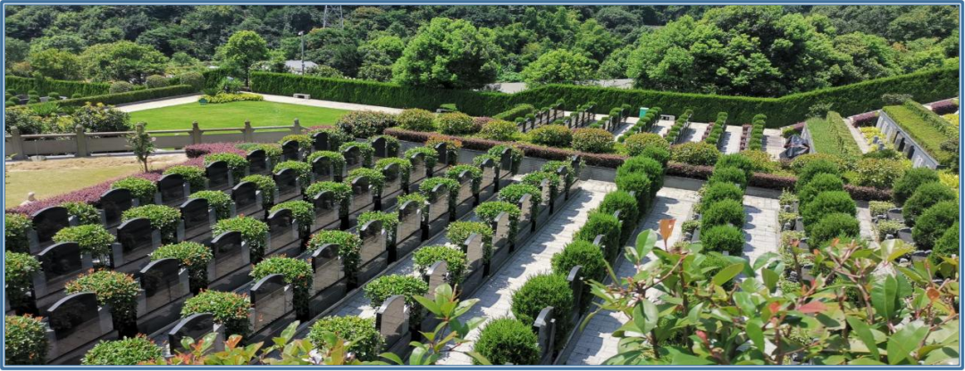 米乐|米乐·M6(中国大陆)官方网站