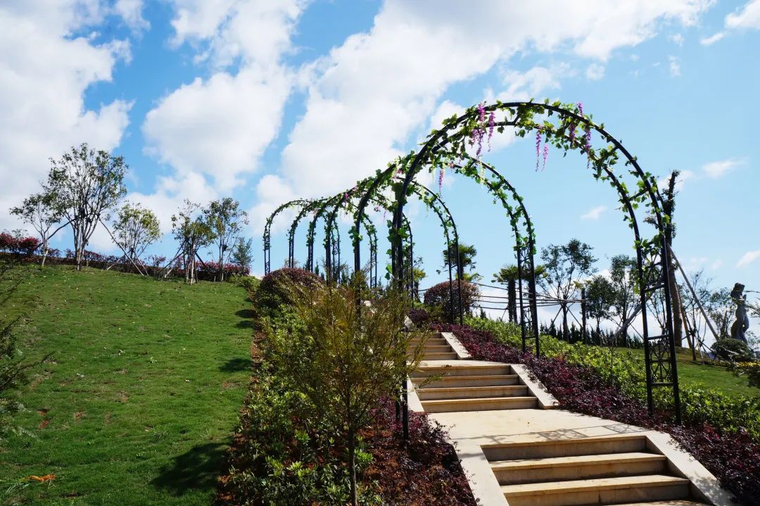 米乐|米乐·M6(中国大陆)官方网站