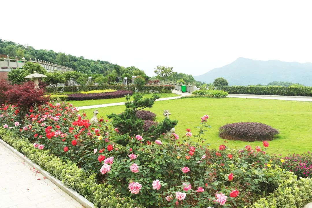 米乐|米乐·M6(中国大陆)官方网站