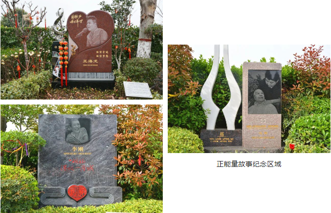 米乐|米乐·M6(中国大陆)官方网站