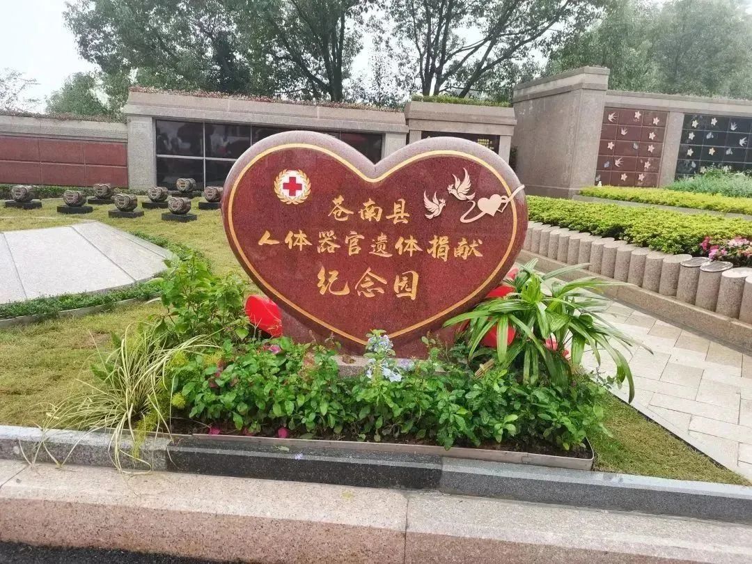 米乐|米乐·M6(中国大陆)官方网站