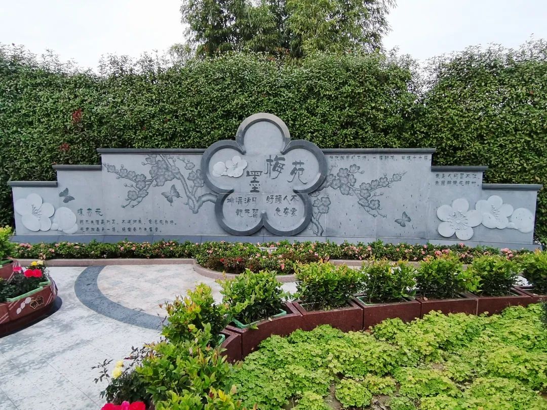 米乐|米乐·M6(中国大陆)官方网站