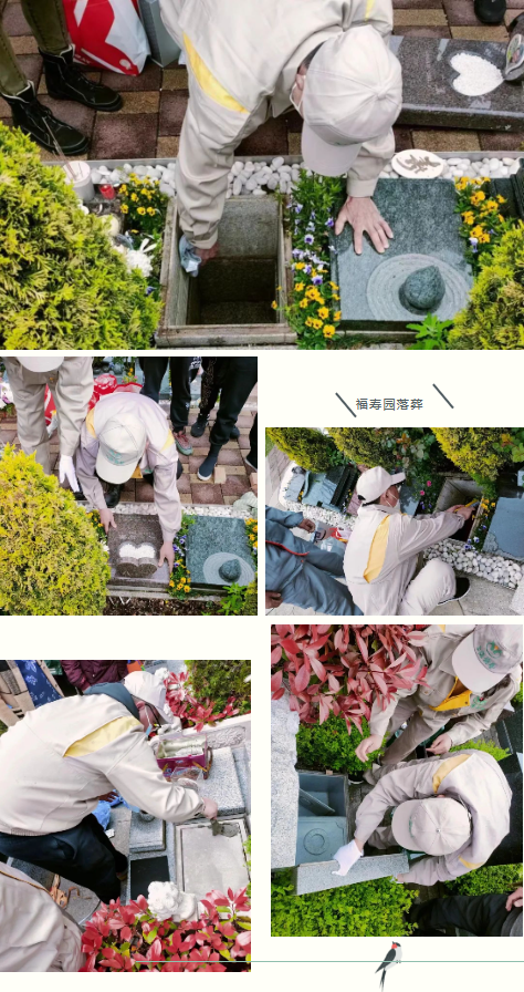 米乐|米乐·M6(中国大陆)官方网站