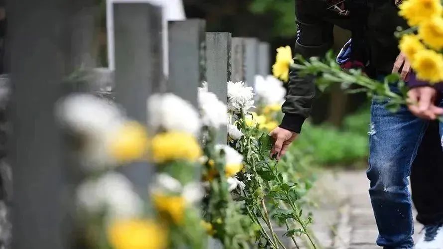 米乐|米乐·M6(中国大陆)官方网站