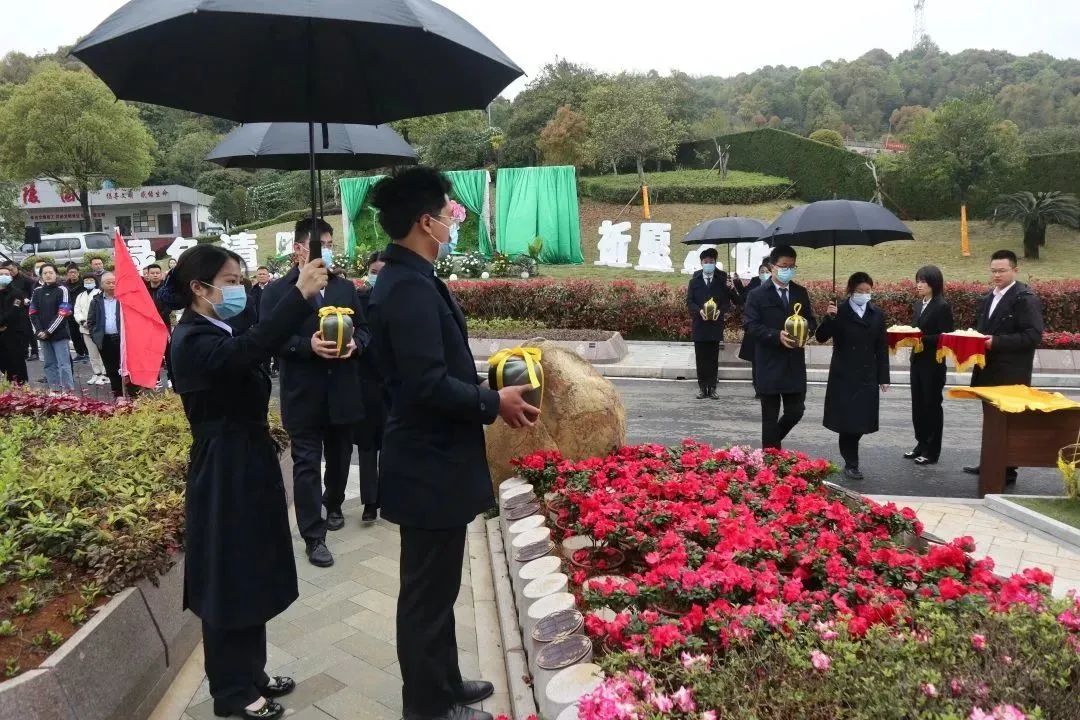 米乐|米乐·M6(中国大陆)官方网站