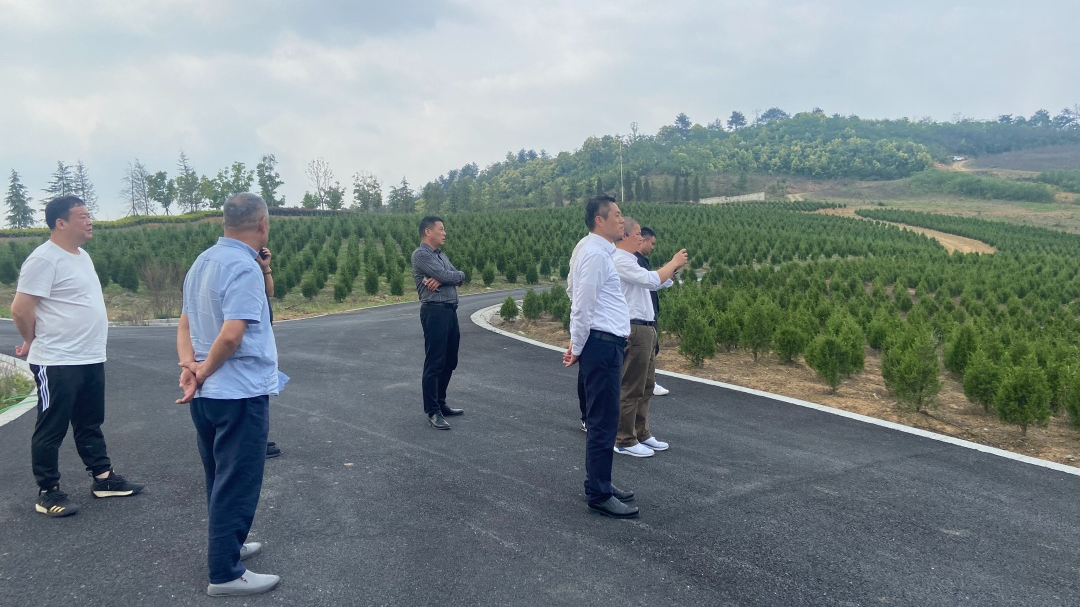 米乐|米乐·M6(中国大陆)官方网站