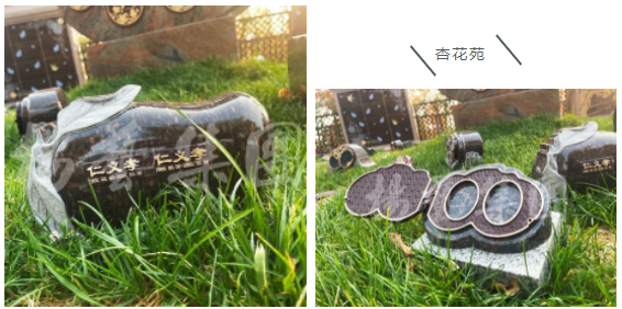 米乐|米乐·M6(中国大陆)官方网站