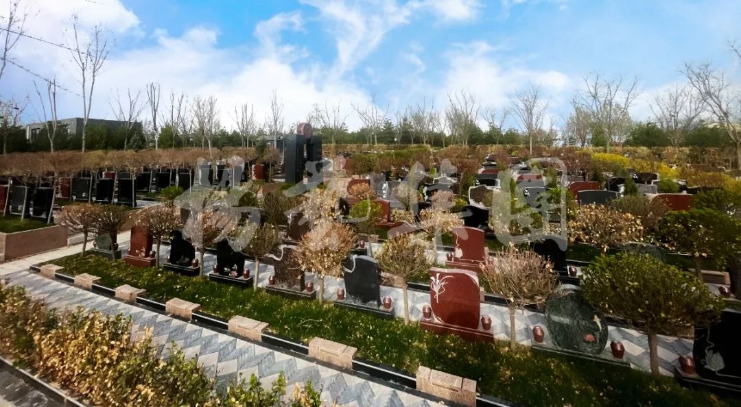 米乐|米乐·M6(中国大陆)官方网站