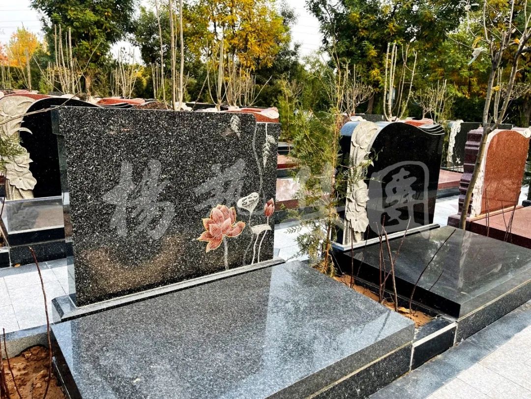 米乐|米乐·M6(中国大陆)官方网站