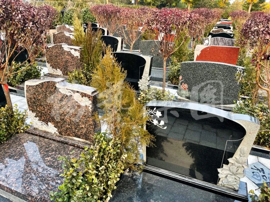 米乐|米乐·M6(中国大陆)官方网站