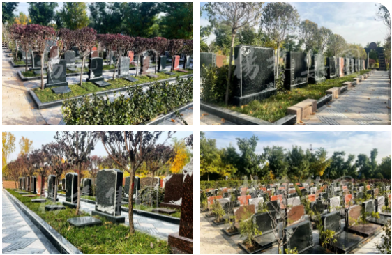 米乐|米乐·M6(中国大陆)官方网站