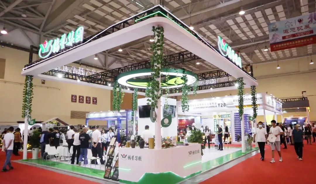 米乐|米乐·M6(中国大陆)官方网站