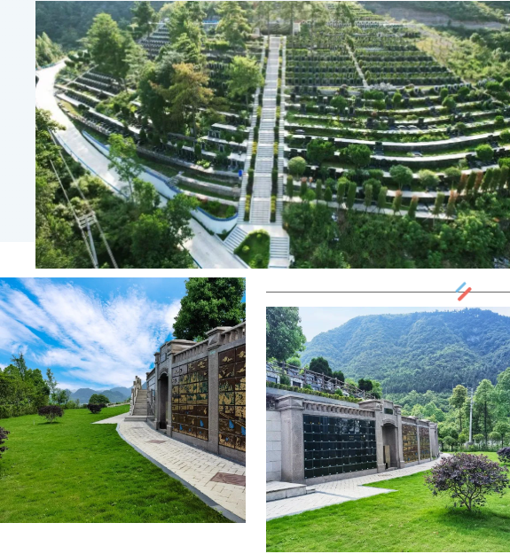 米乐|米乐·M6(中国大陆)官方网站