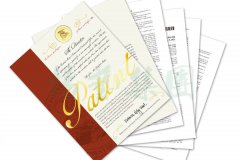 国际认可 | 米乐m6喜获一项美国发明专利授权