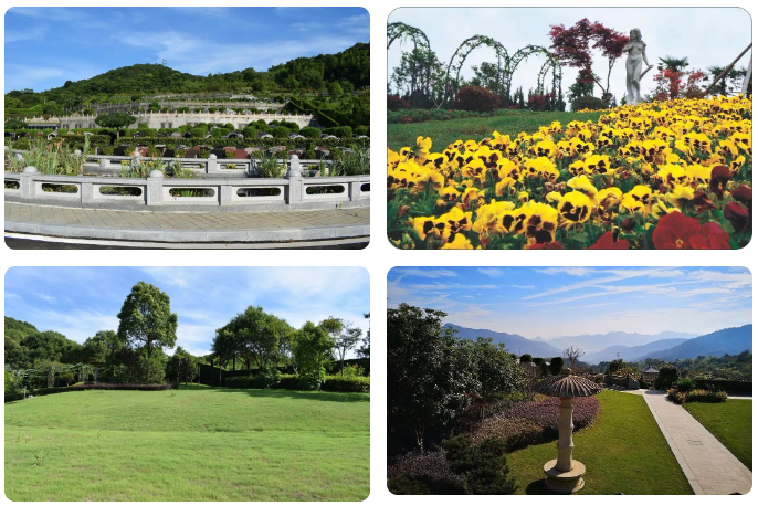 米乐|米乐·M6(中国大陆)官方网站