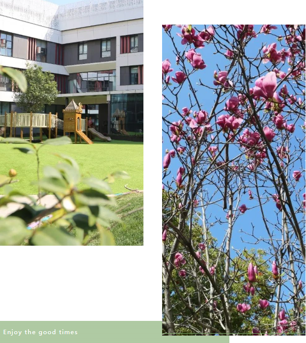 米乐|米乐·M6(中国大陆)官方网站