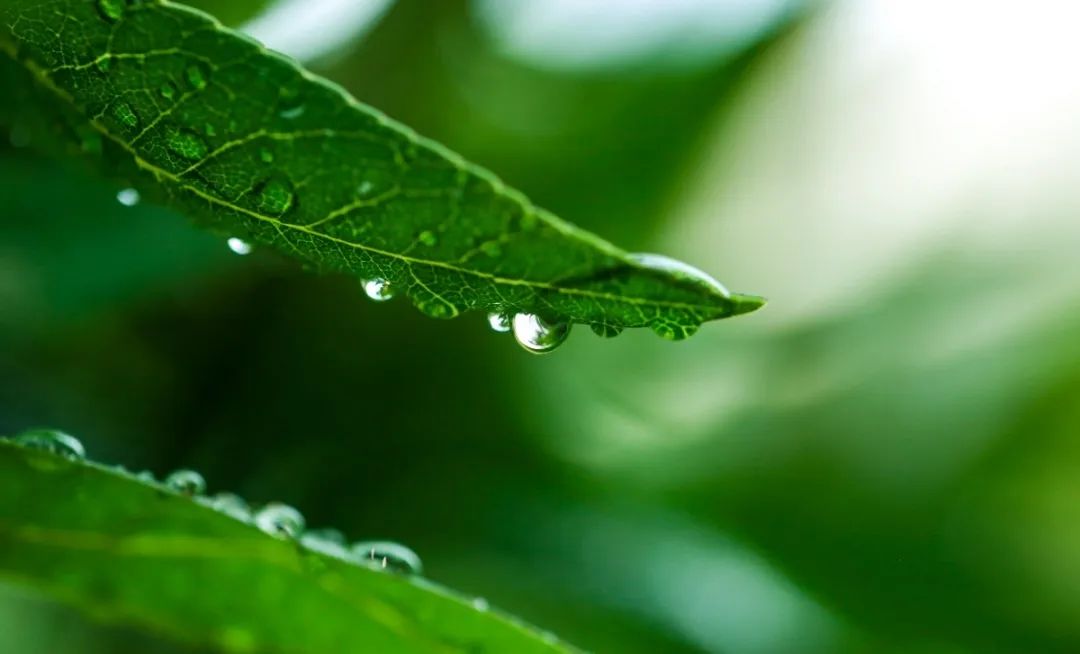 米乐|米乐·M6(中国大陆)官方网站