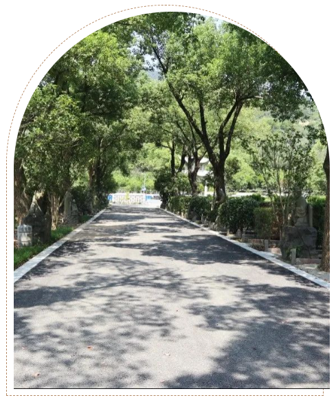 米乐|米乐·M6(中国大陆)官方网站