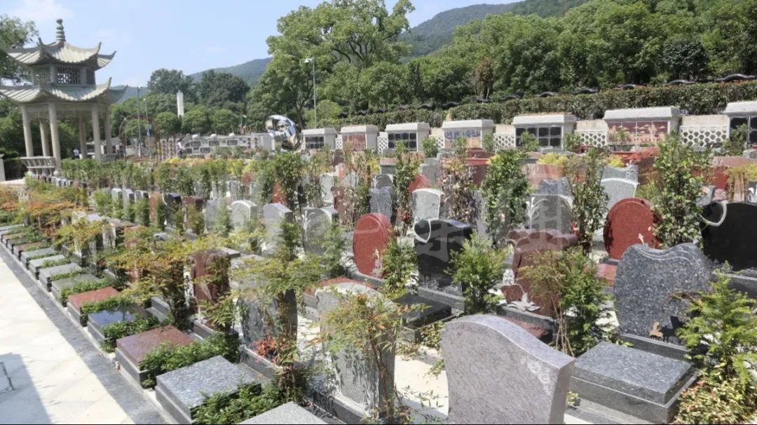 米乐|米乐·M6(中国大陆)官方网站