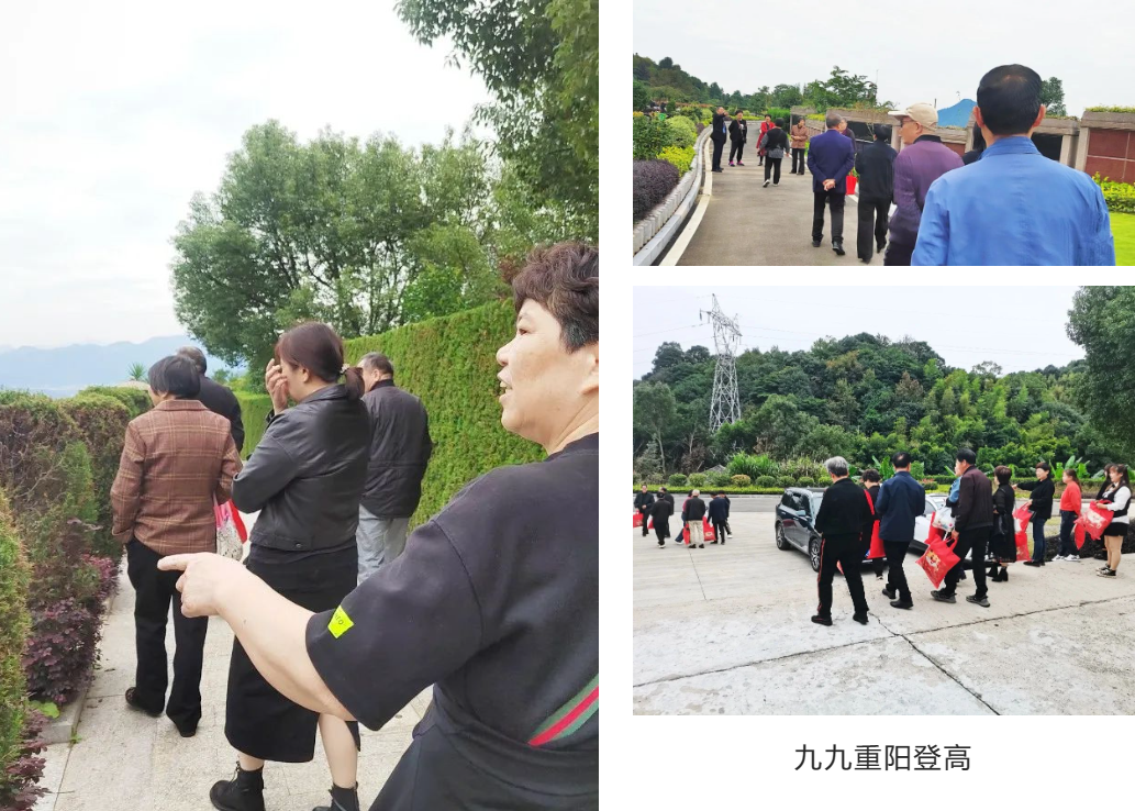 米乐|米乐·M6(中国大陆)官方网站