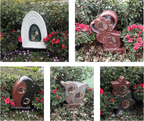 米乐|米乐·M6(中国大陆)官方网站