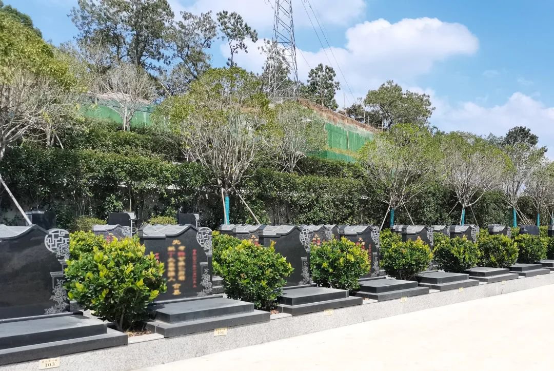 米乐|米乐·M6(中国大陆)官方网站