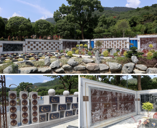 米乐|米乐·M6(中国大陆)官方网站