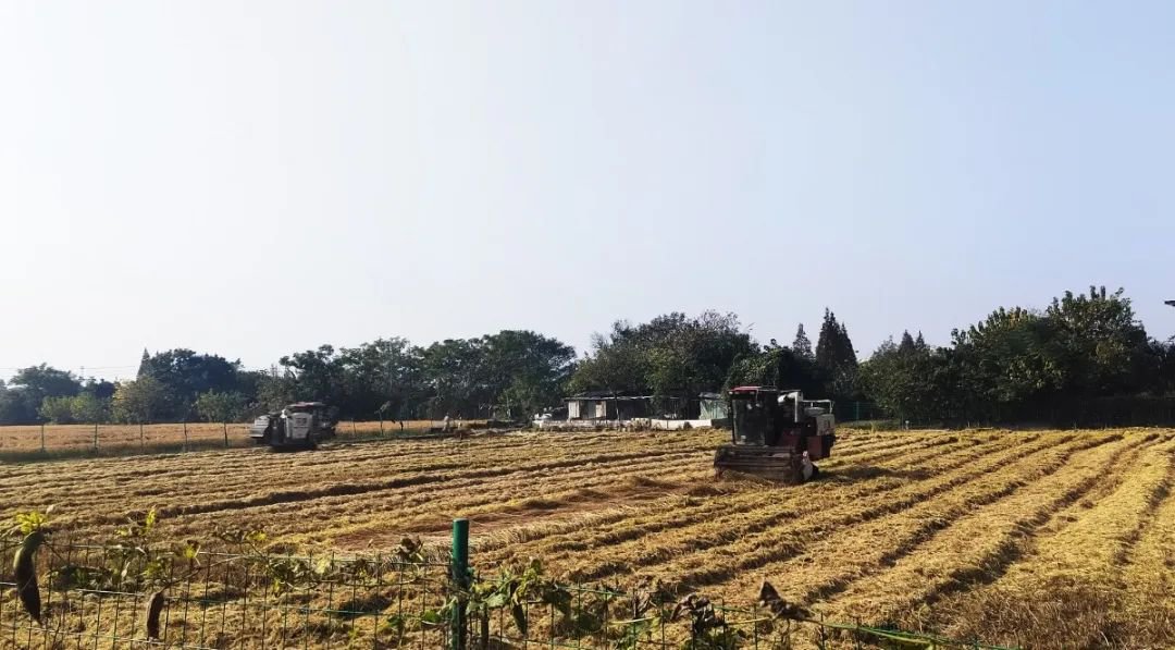 米乐|米乐·M6(中国大陆)官方网站