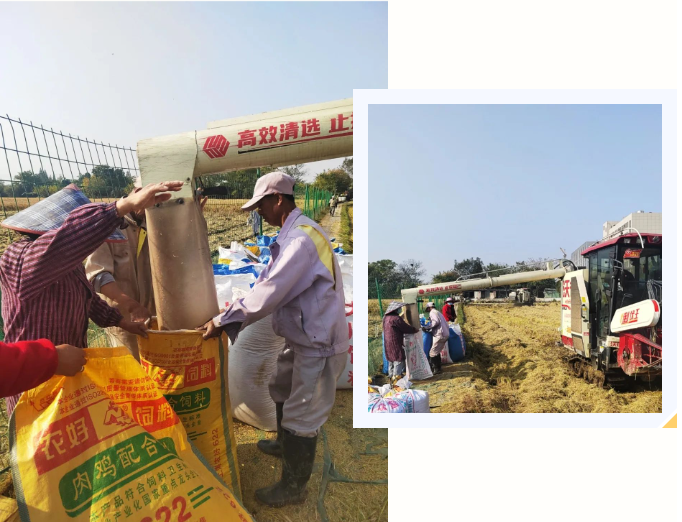 米乐|米乐·M6(中国大陆)官方网站