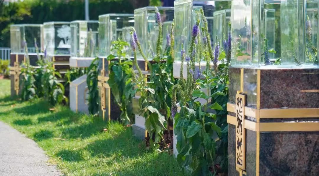 米乐|米乐·M6(中国大陆)官方网站