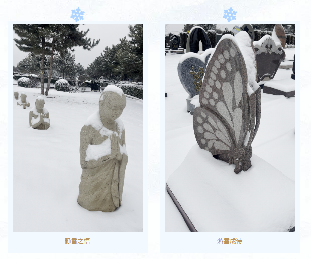 米乐|米乐·M6(中国大陆)官方网站