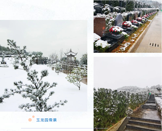 米乐|米乐·M6(中国大陆)官方网站