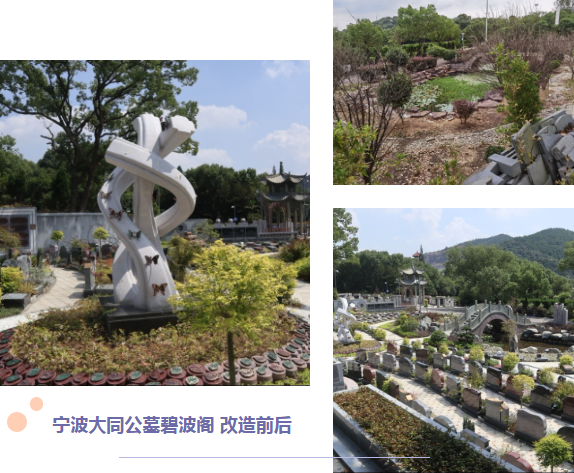 米乐|米乐·M6(中国大陆)官方网站