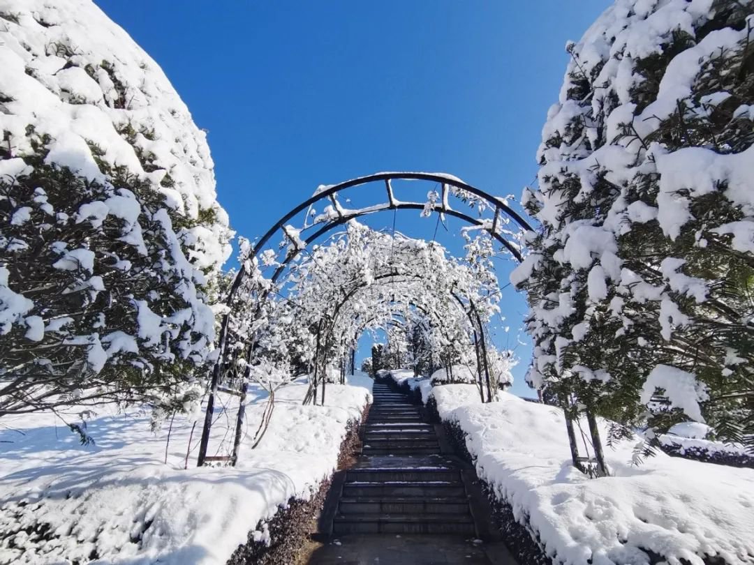 米乐|米乐·M6(中国大陆)官方网站