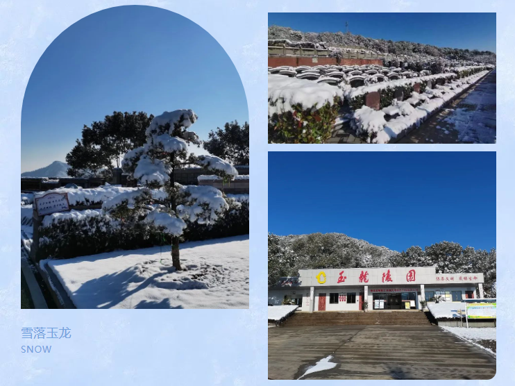 米乐|米乐·M6(中国大陆)官方网站