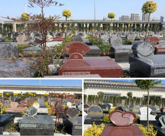 米乐|米乐·M6(中国大陆)官方网站