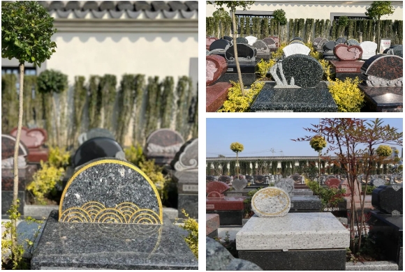 米乐|米乐·M6(中国大陆)官方网站