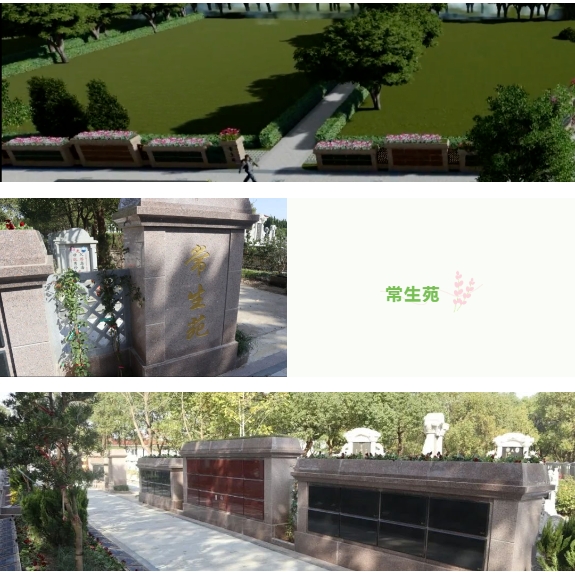 米乐|米乐·M6(中国大陆)官方网站