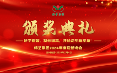 2024年米乐m6集团迎新春年会暨颁奖仪式盛放纵行