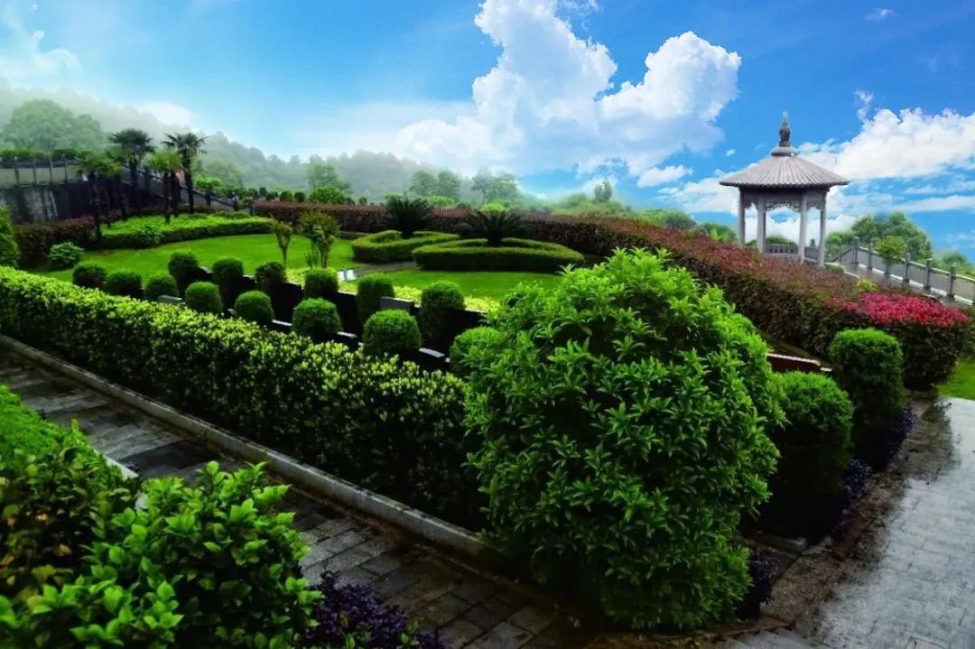 米乐|米乐·M6(中国大陆)官方网站