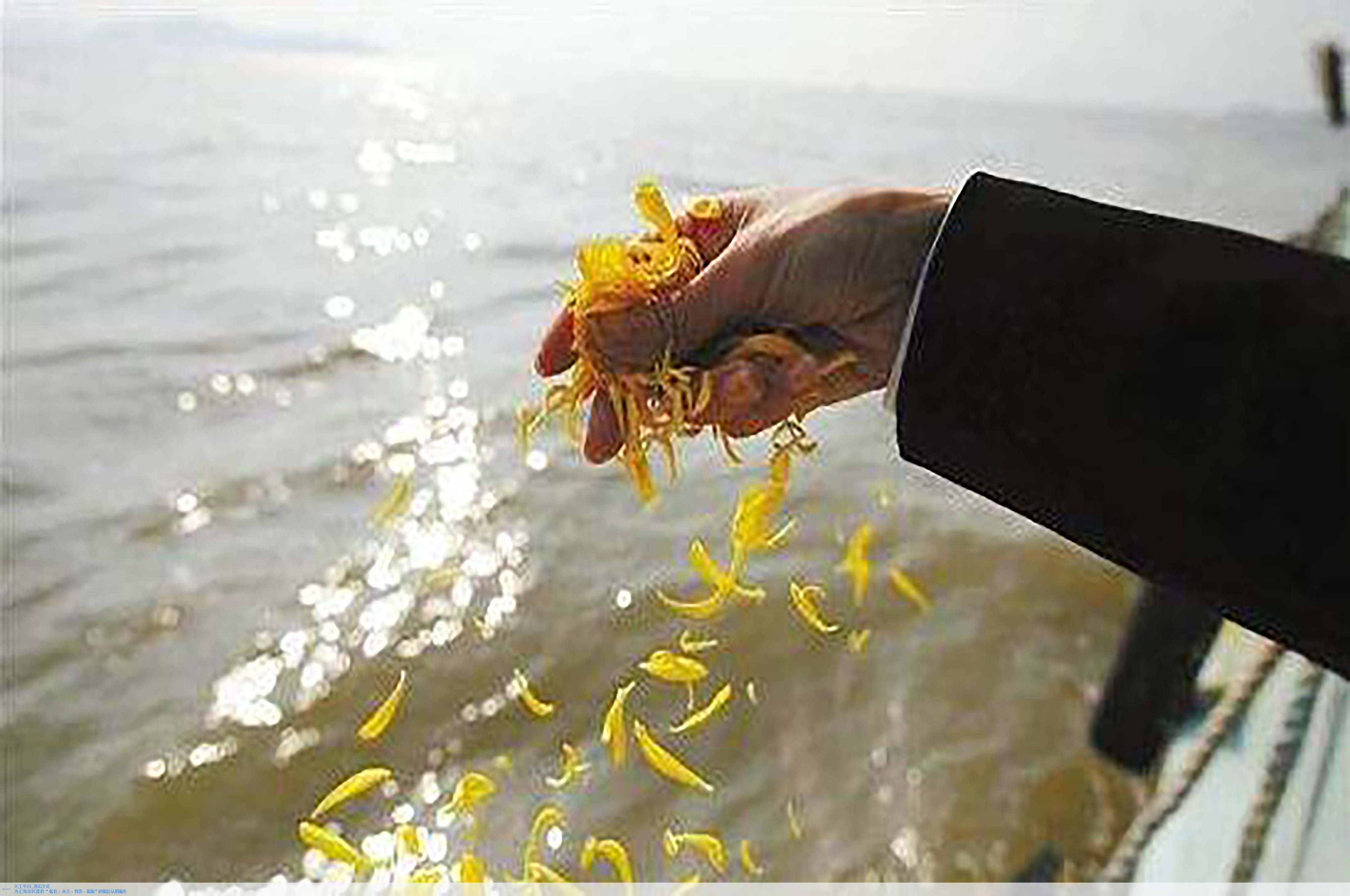 米乐|米乐·M6(中国大陆)官方网站