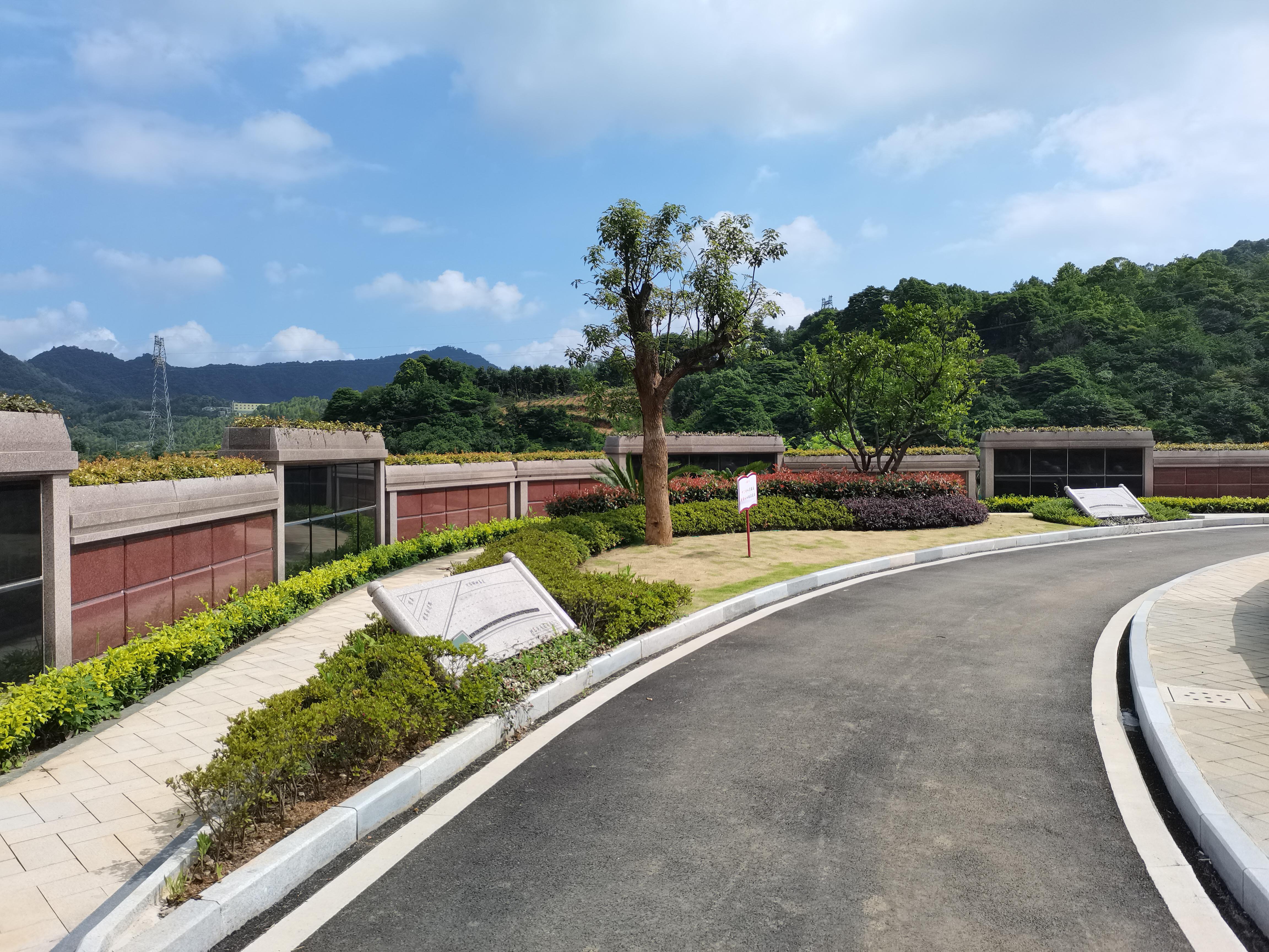 海葬和树葬哪个好？？？？？？两种生态葬祭方法的选择与意义