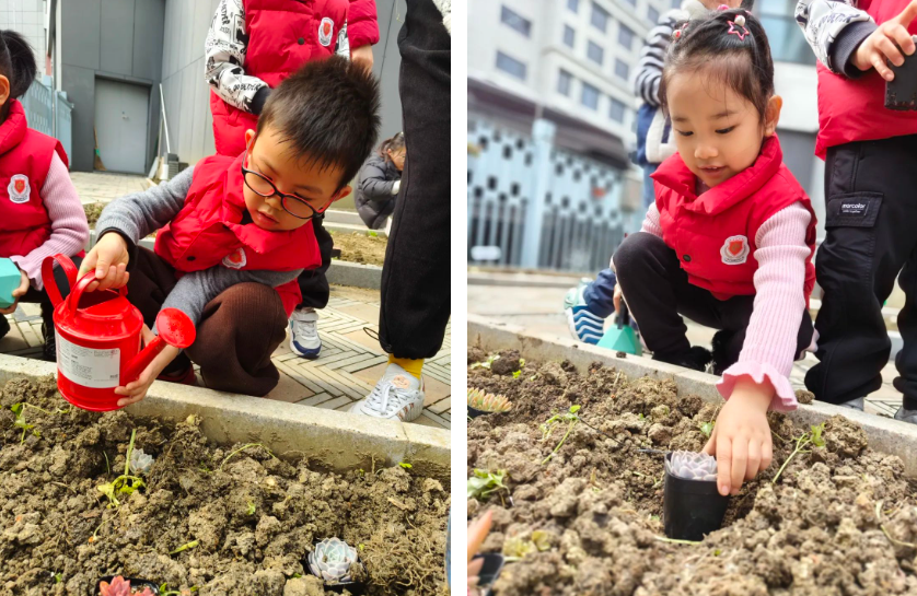 米乐|米乐·M6(中国大陆)官方网站