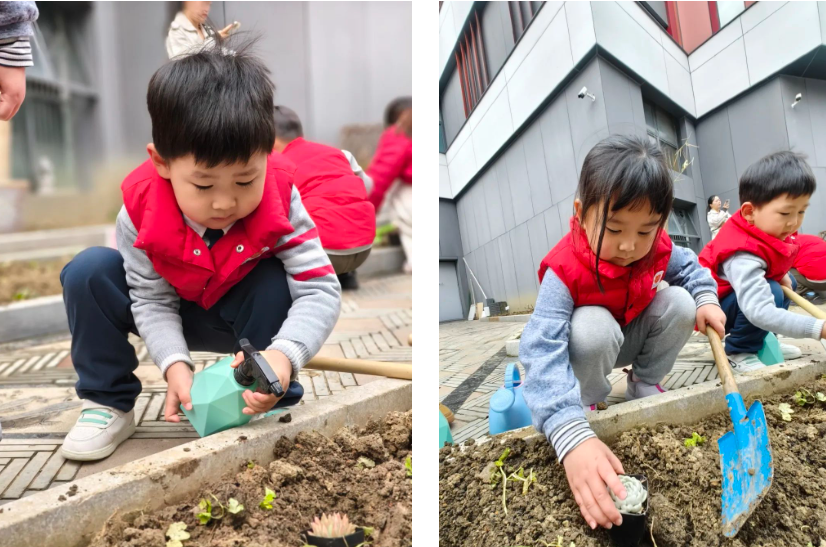 米乐|米乐·M6(中国大陆)官方网站