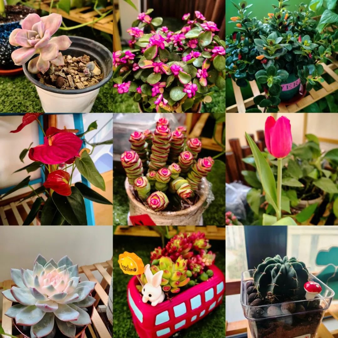 米乐|米乐·M6(中国大陆)官方网站