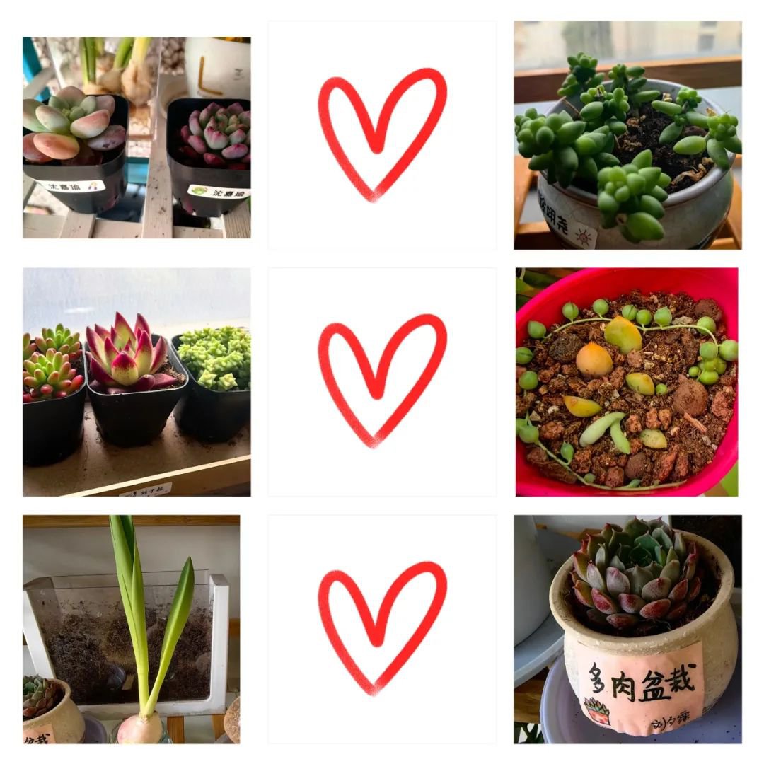 米乐|米乐·M6(中国大陆)官方网站