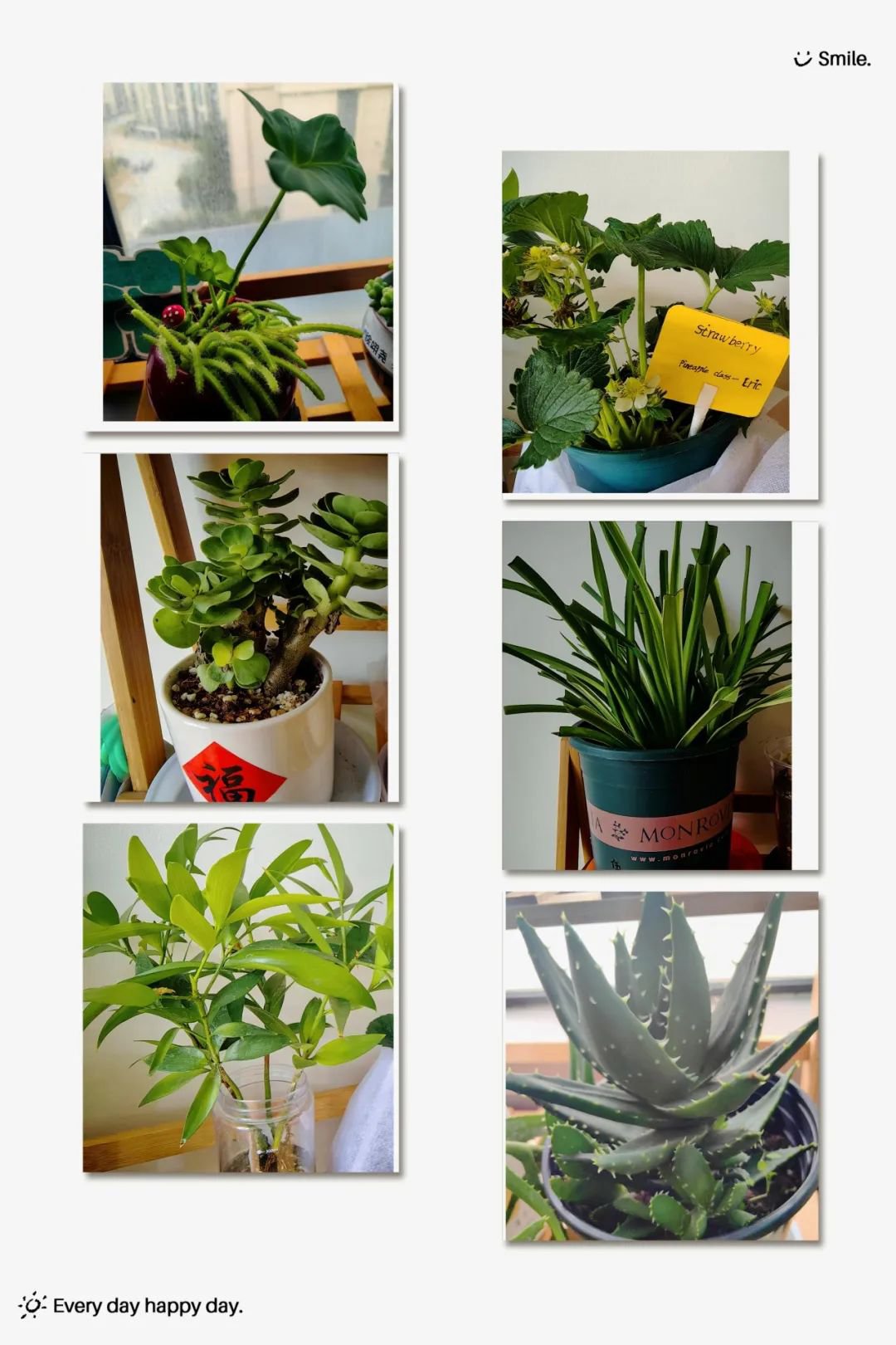 米乐|米乐·M6(中国大陆)官方网站