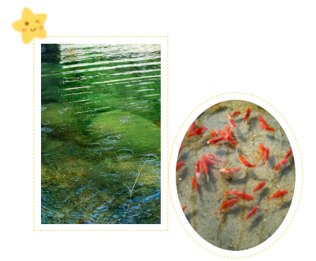 米乐|米乐·M6(中国大陆)官方网站